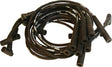 5569 Spark Plug Wire Set