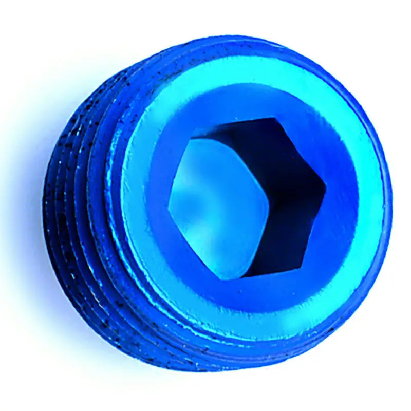 Blue threaded plug with hex Allen socket for pipe fitting in Speedfx 1/8 inch socket pipe