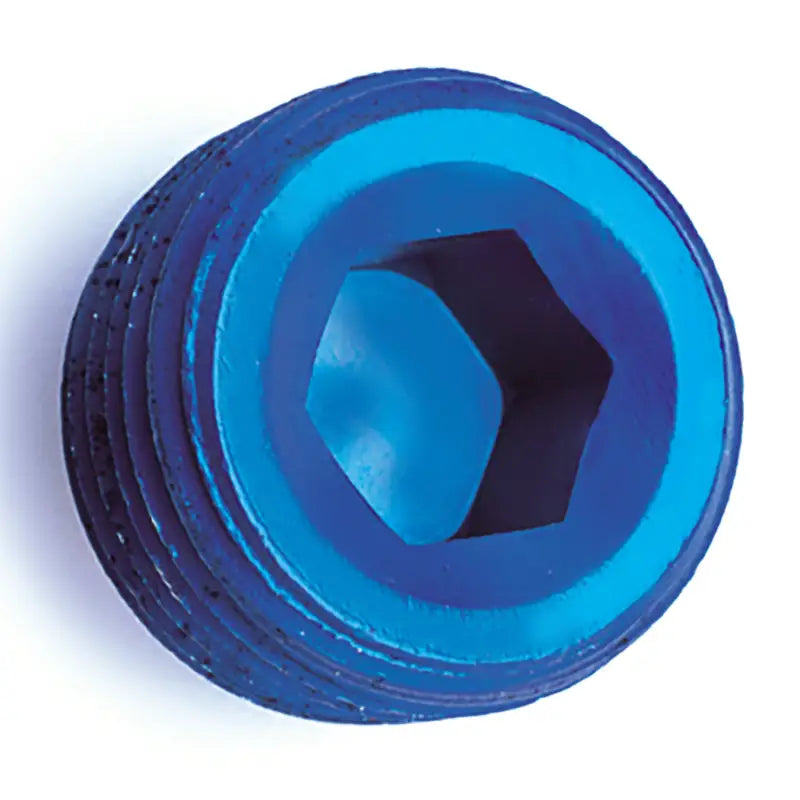 Blue threaded plug with hexagonal socket for allen socket pipe applications