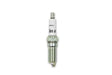579 ACCEL Spark Plug, Ford Coyote, Stock Heat Rang