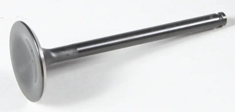 60-60313 Black Diamond Exhaust Valve