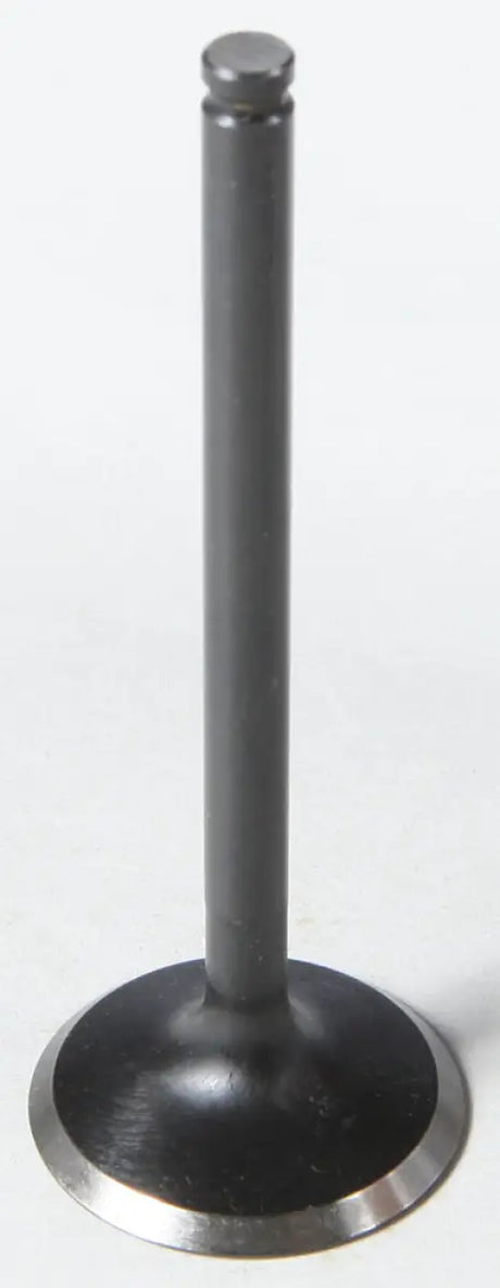 60-60666 Exhaust Valve Black Diamond