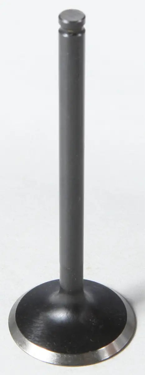 60-60666 Exhaust Valve Black Diamond