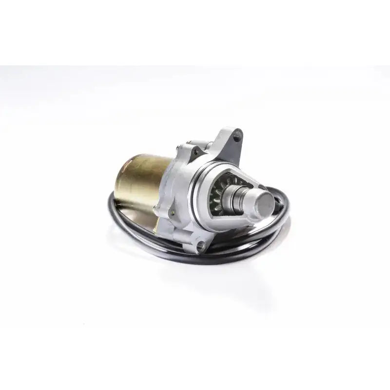 61-301 Starter - Motor