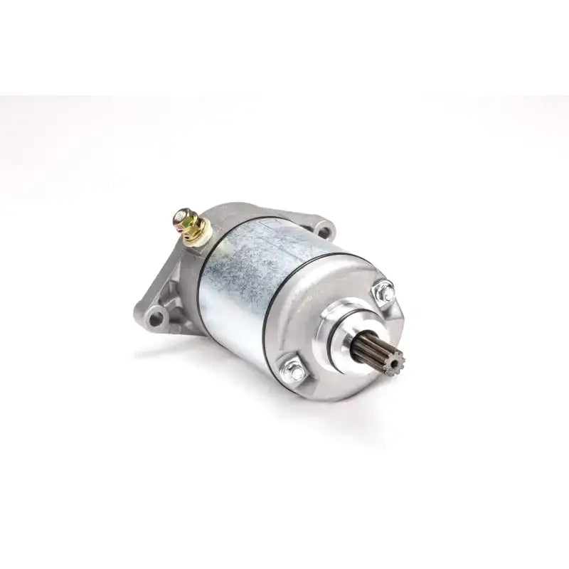 61-303 Starter - Motor
