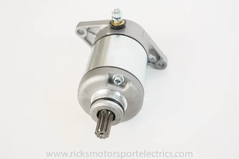 61-310 Ricks Starter Motor