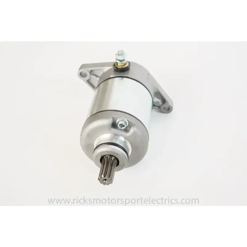 61-310 Ricks Starter Motor
