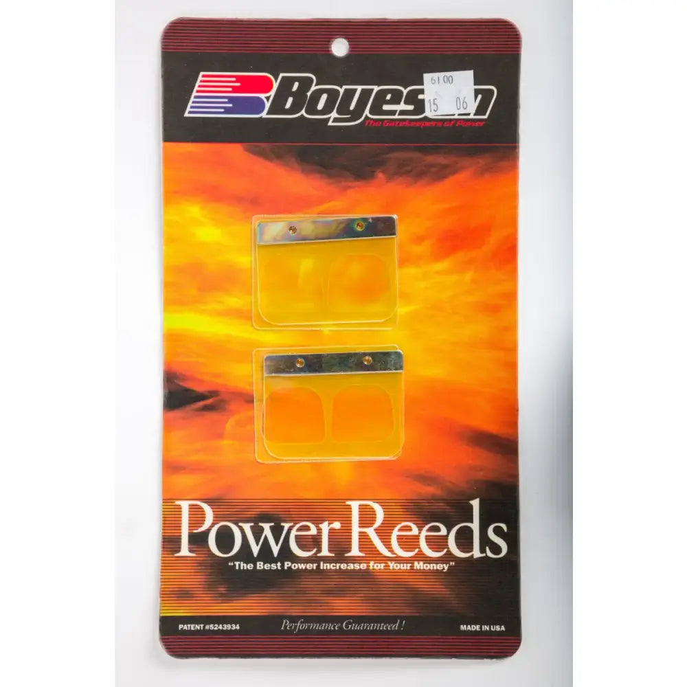 6100 Boyesen Motorcycle Reeds
