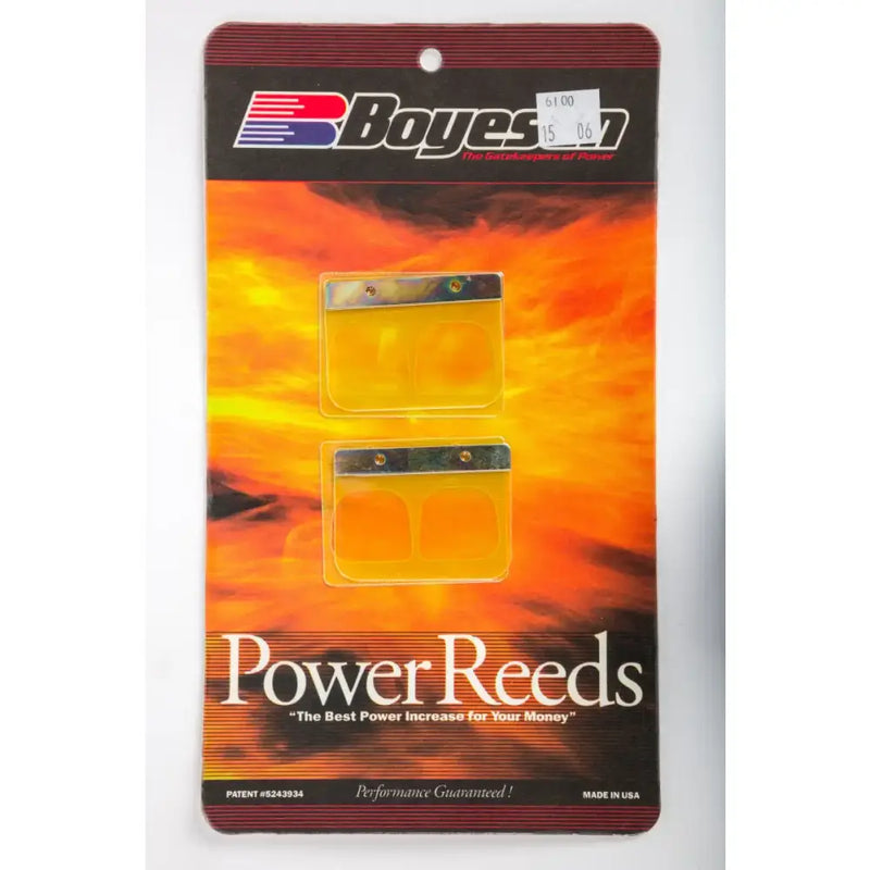 6100 Boyesen Motorcycle Reeds
