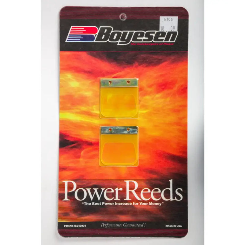 6105 Boyesen Motorcycle Reeds