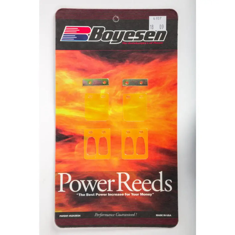 6107 Boyesen Dual Stage Power Reeds Dura Flex w/Rev Plates