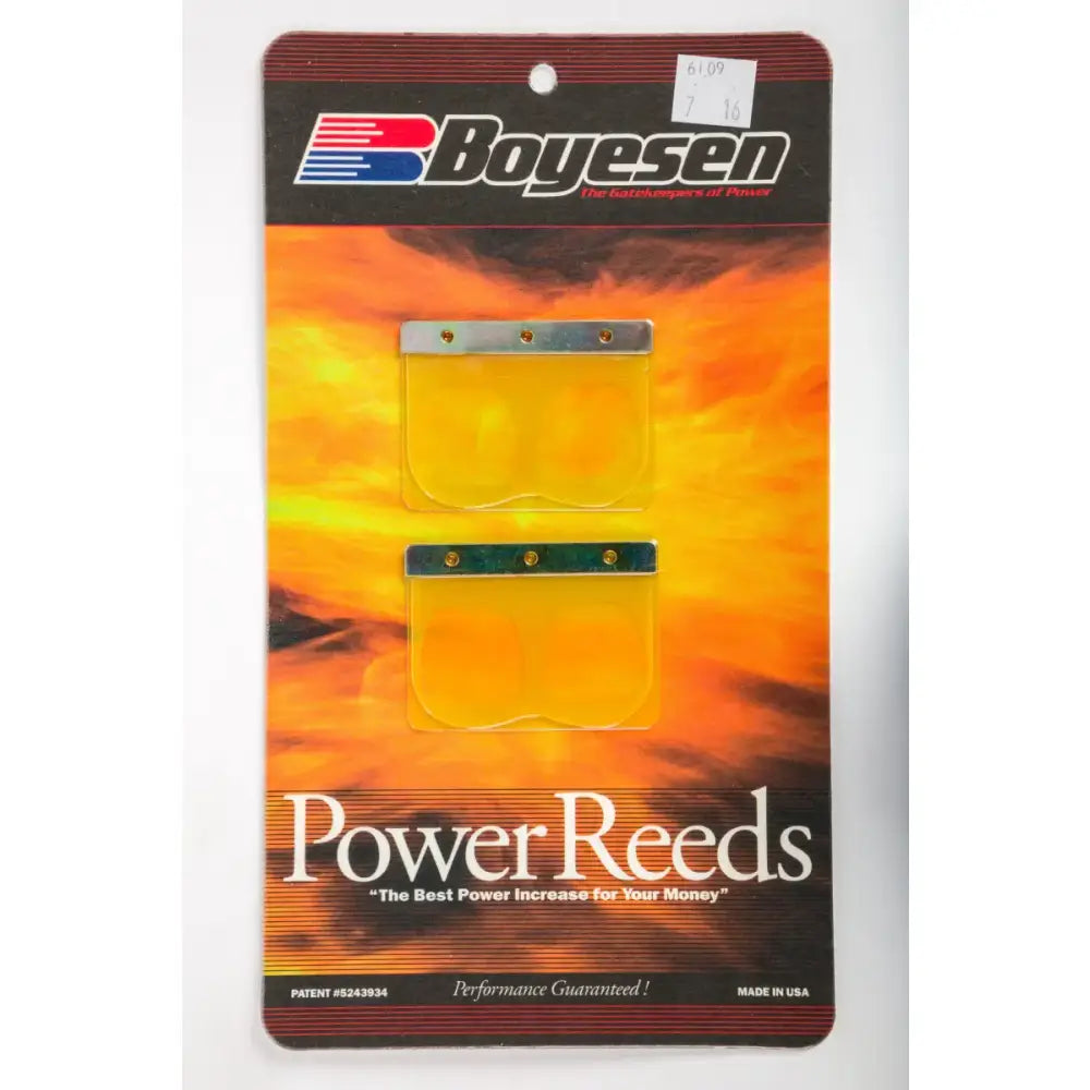 6109 Boyesen Motorcycle Reeds