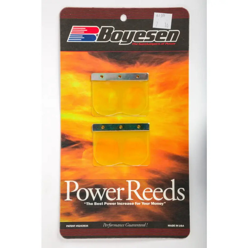 6109 Boyesen Motorcycle Reeds