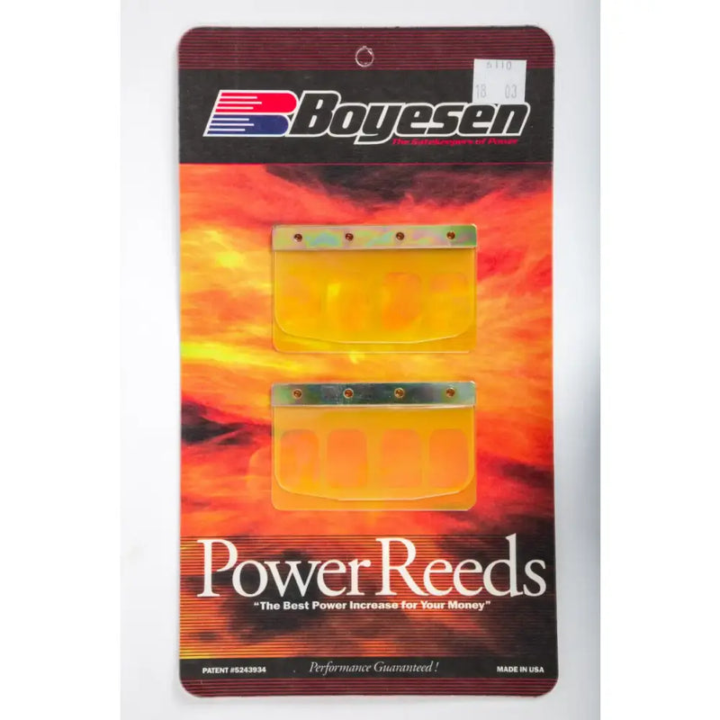 6110 Boyesen Motorcycle Reeds