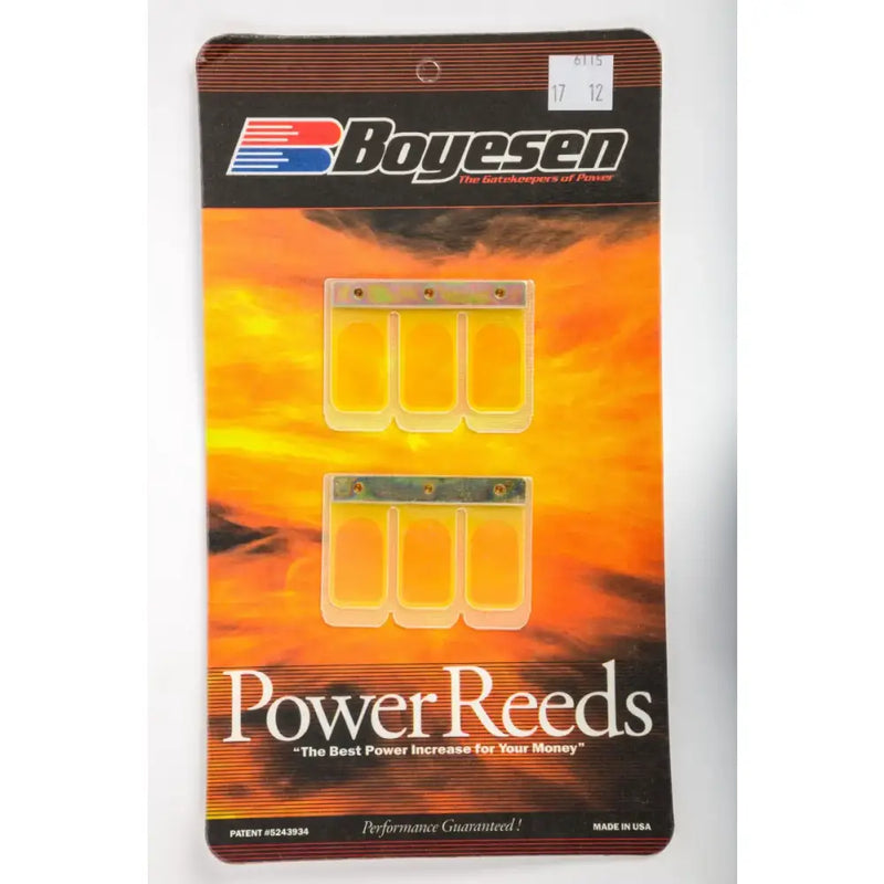 6115 Boyesen Motorcycle Reeds