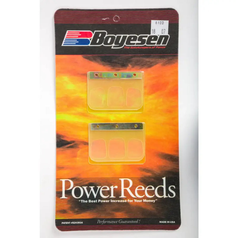 6120 Boyesen Motorcycle Reeds