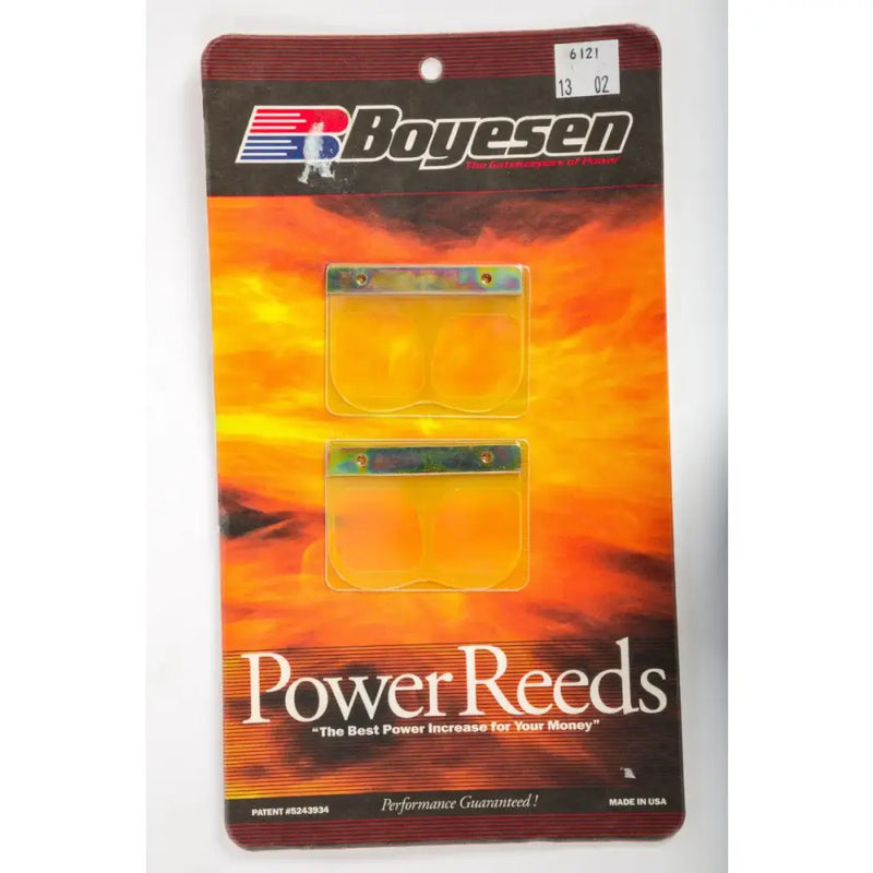 6121 Boyesen Motorcycle Reeds