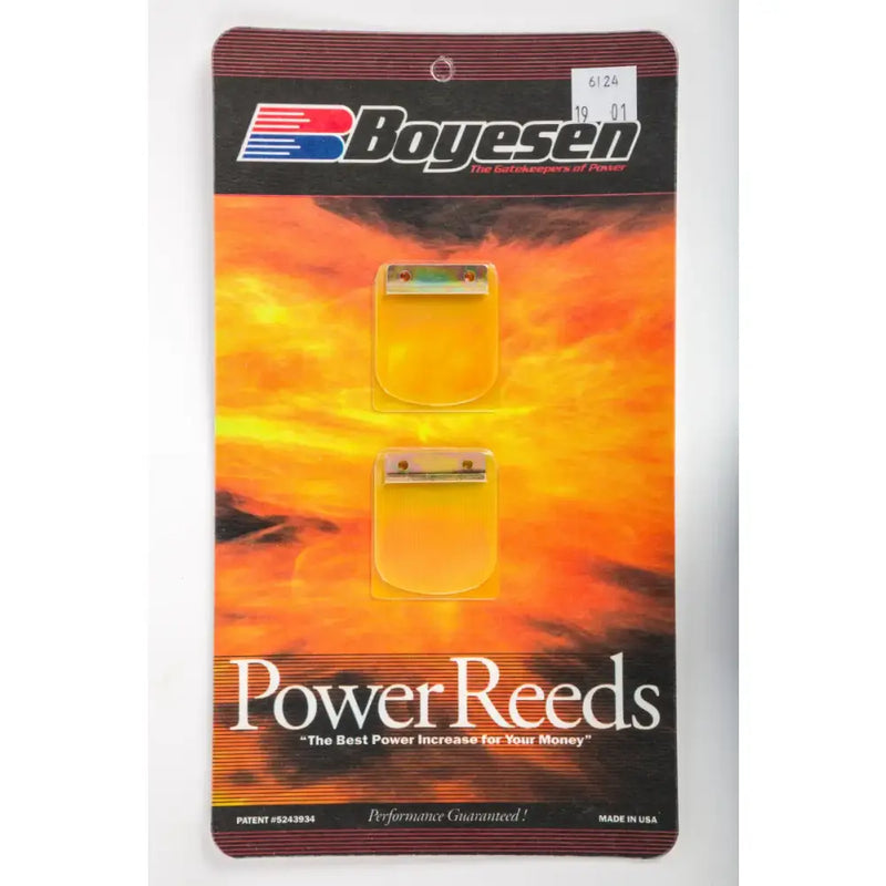 6124 Boyesen Motorcycle Reeds