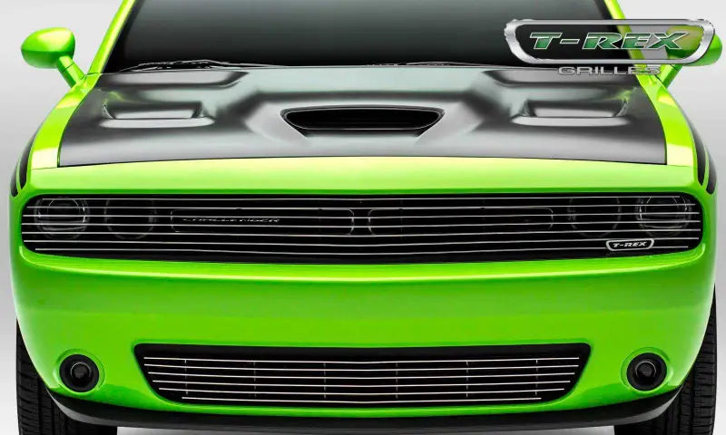 6214190 Grille Insert