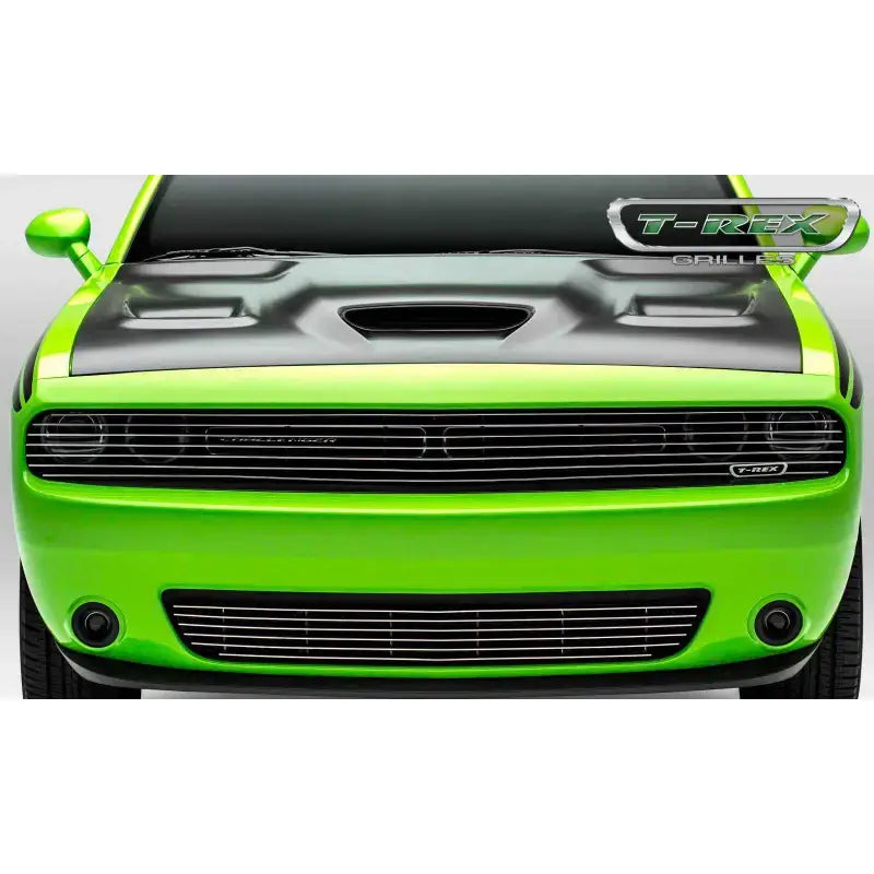 6214190 Grille Insert