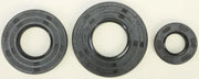 622201 Crank Seal Kit Seadoo
