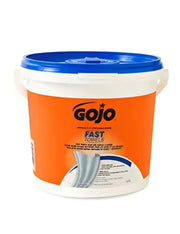 6298-04 Hand Cleaner