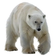 640161 Norcold Bottle Retainer Wire - Refrigerator Door Rail