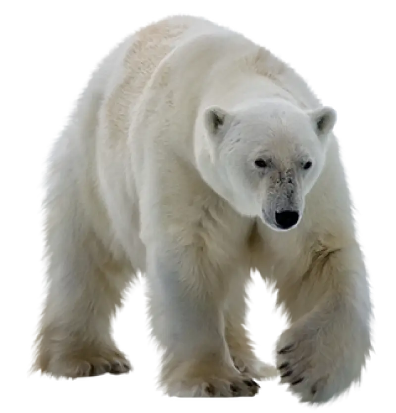 640161 Norcold Bottle Retainer Wire - Refrigerator Door Rail