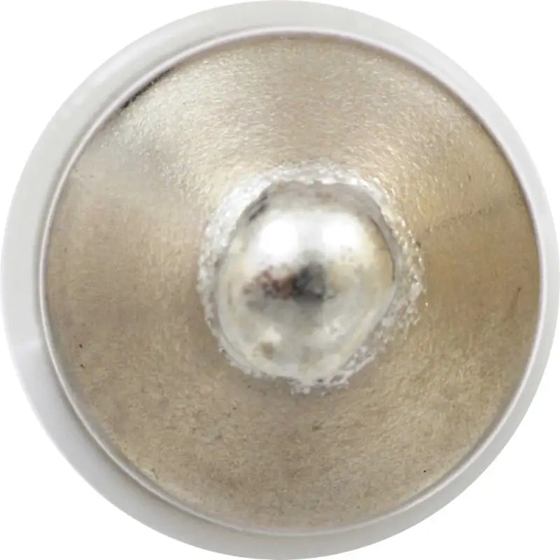 6418SL.BP Dome Light Bulb - LED