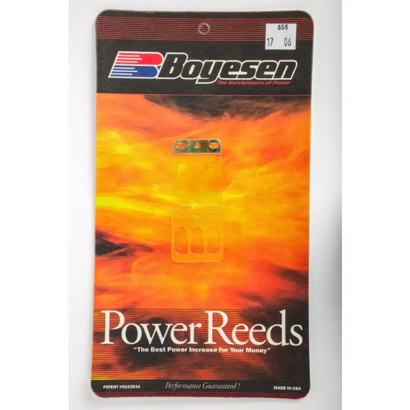 658 Boyesen Motorcycle Reeds