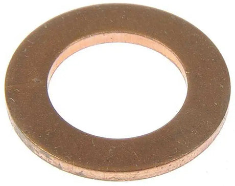 66223 Banjo Fitting Washer
