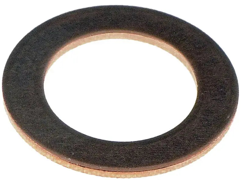 66269 Banjo Fitting Washer