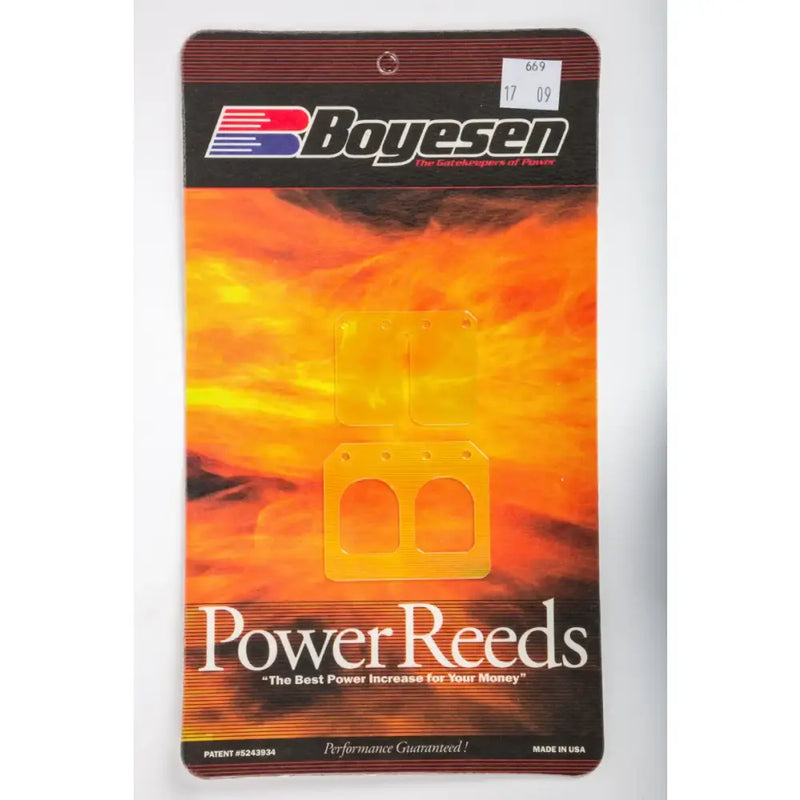 669 Boyesen Motorcycle Reeds