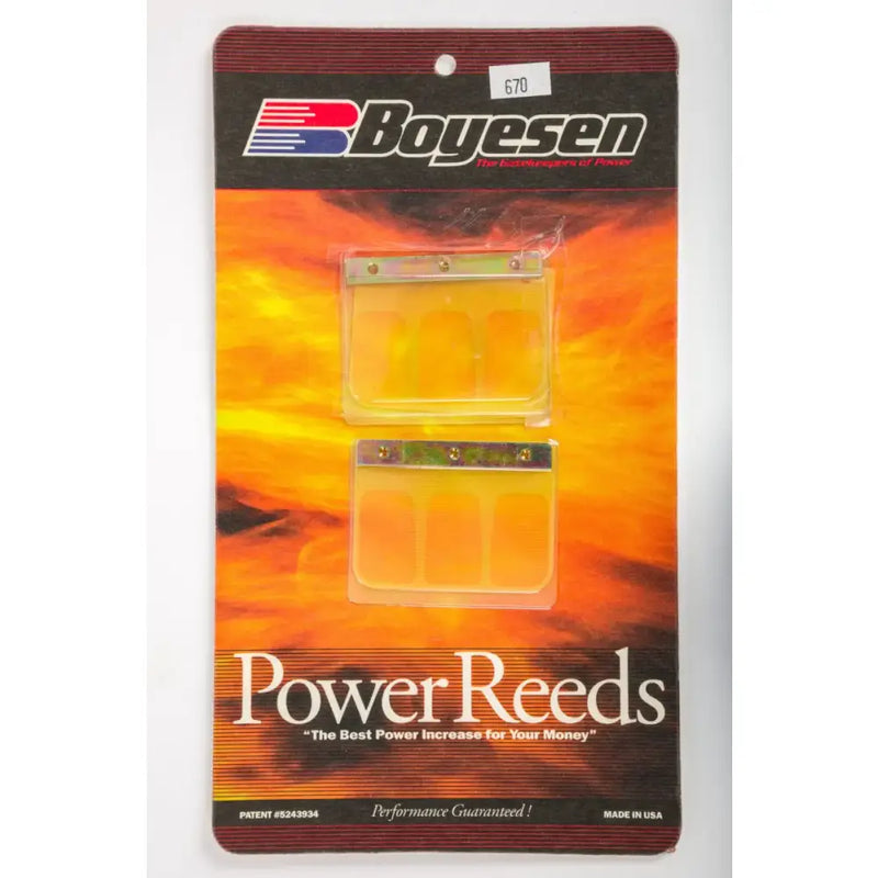 670 Boyesen Motorcycle Reeds