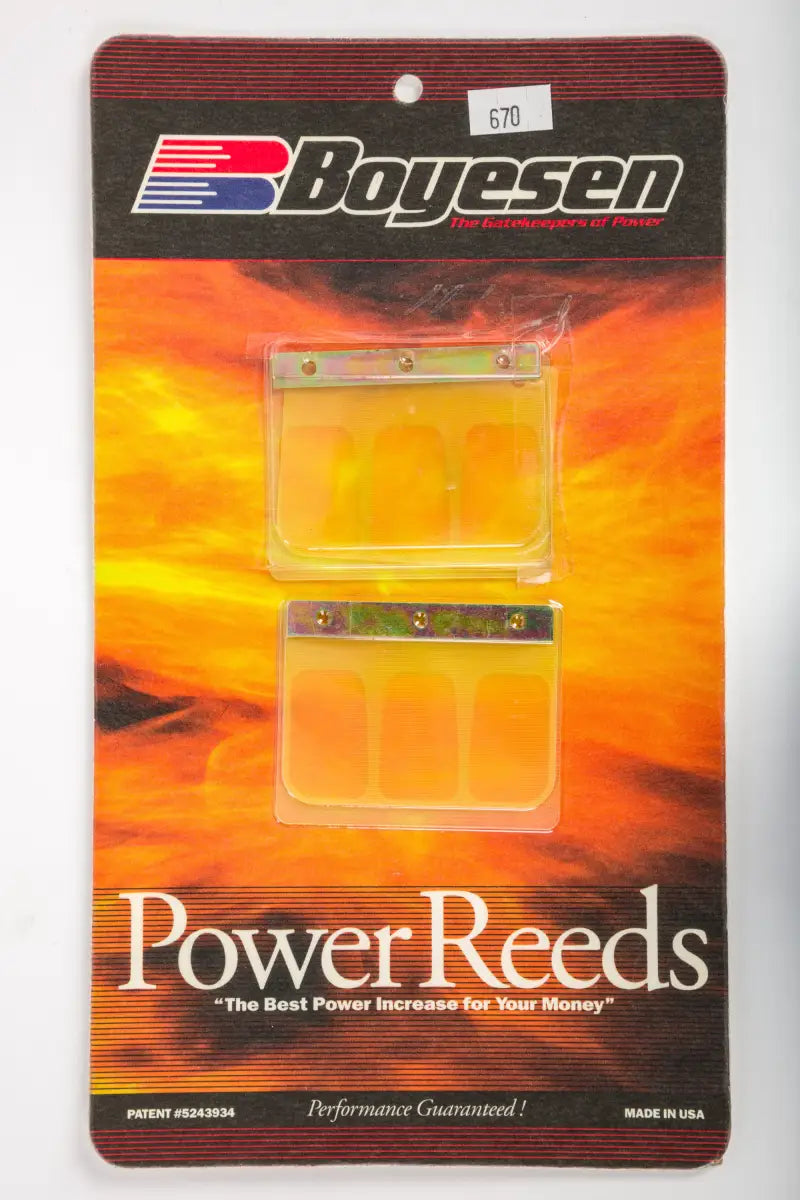 670 Boyesen Motorcycle Reeds