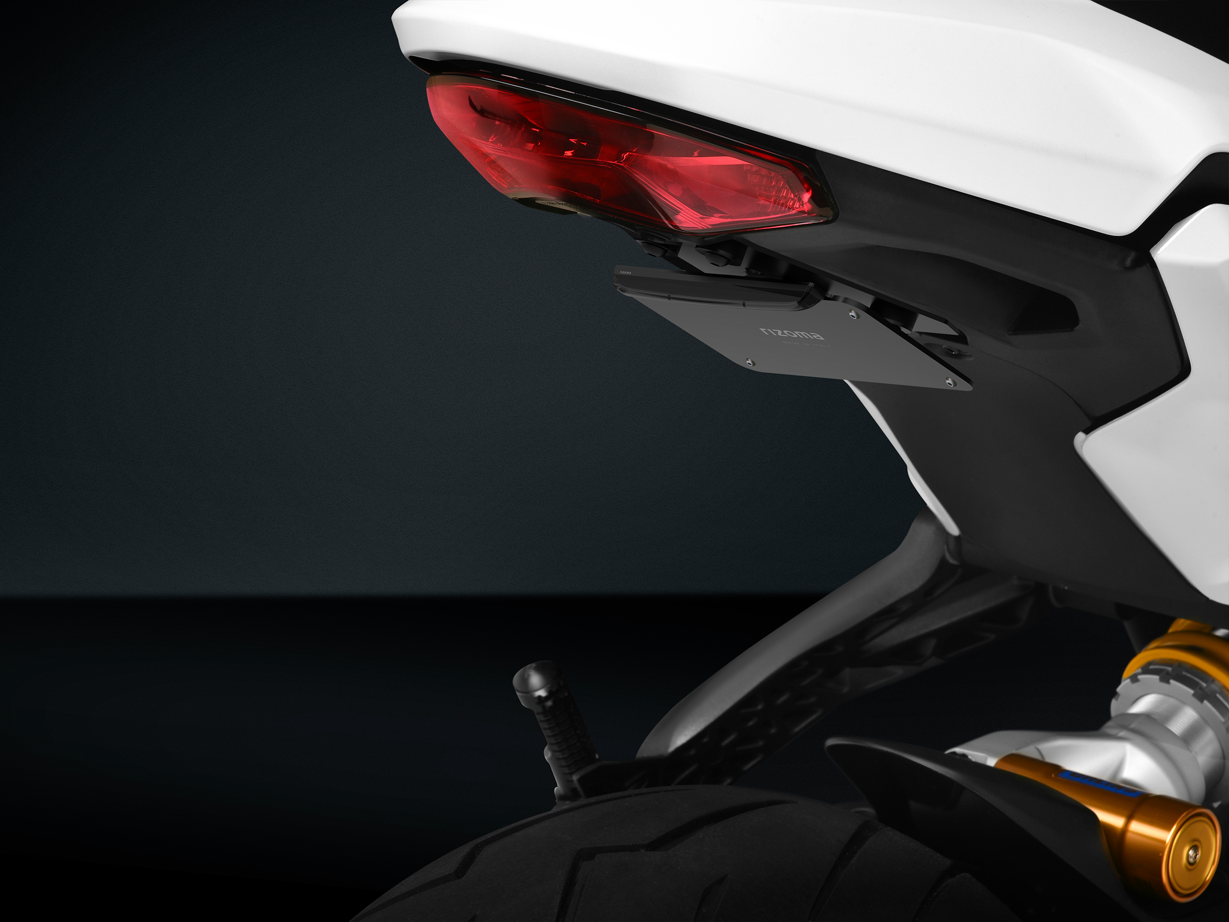 Rizoma Flat-Out Fender Eliminator Body PTU013B - Flat-OUT Duc