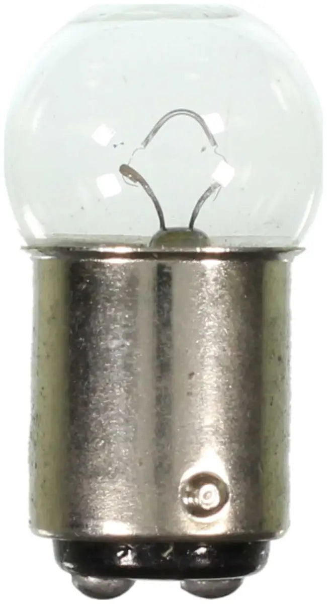 68 Courtesy Light Bulb