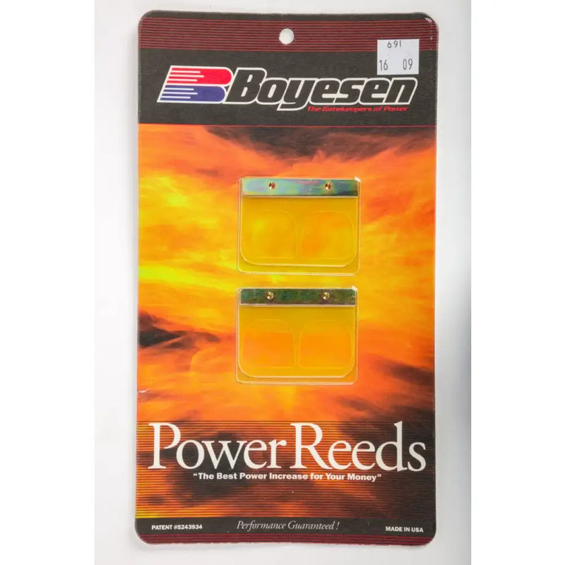 691 Boyesen Motorcycle Reeds