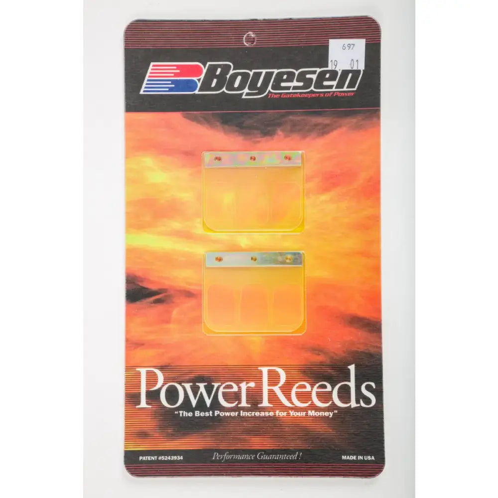 697 Boyesen Motorcycle Reeds