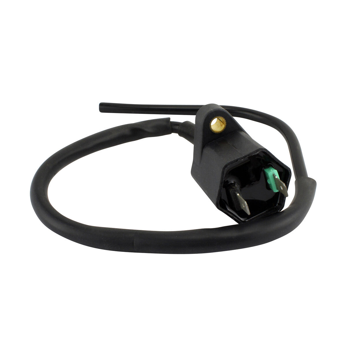 RM Stator External Ignition Coils Electrical RM06172
