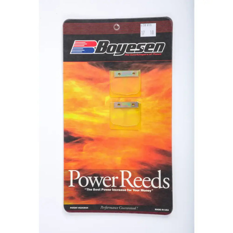 6Tr106 Boyesen Motorcycle Reeds