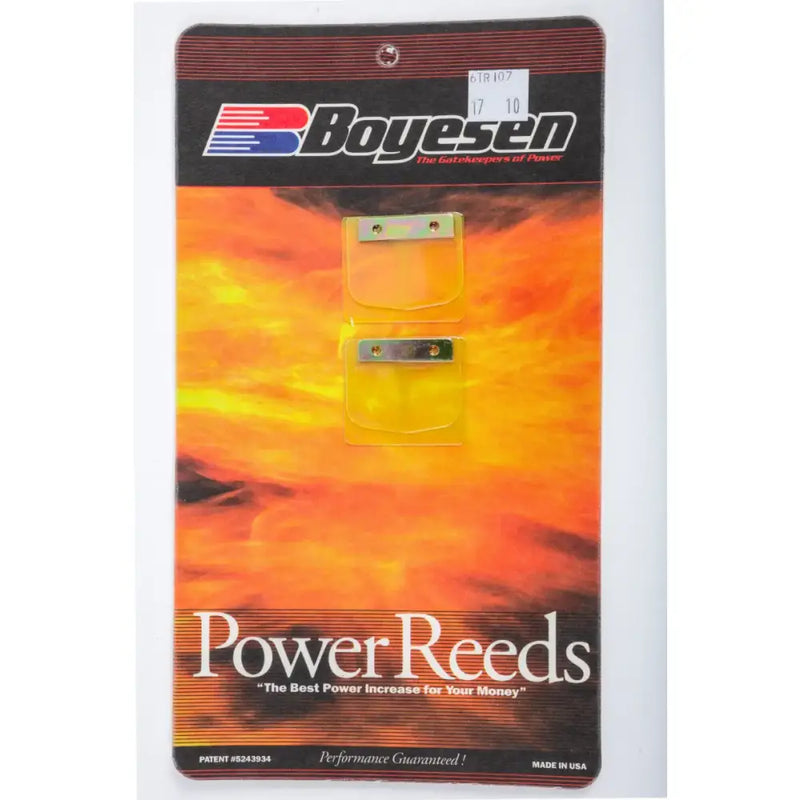 6Tr107 Boyesen Motorcycle Reeds