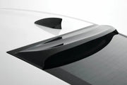 Black car spoiler and antenna with carbon fiber look for 70730X GT Styling Buggard