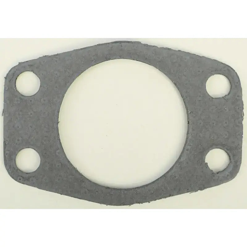 718165 Exhaust Gasket