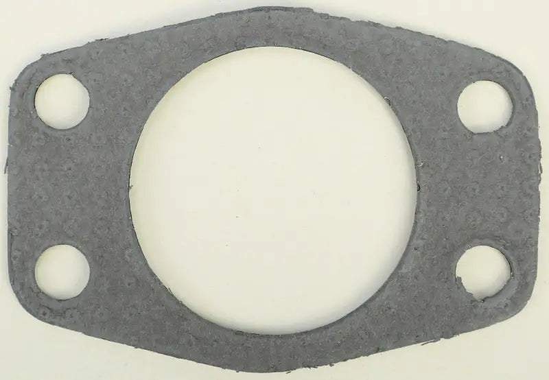 718165 Exhaust Gasket