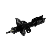 72179 Shock Absorber