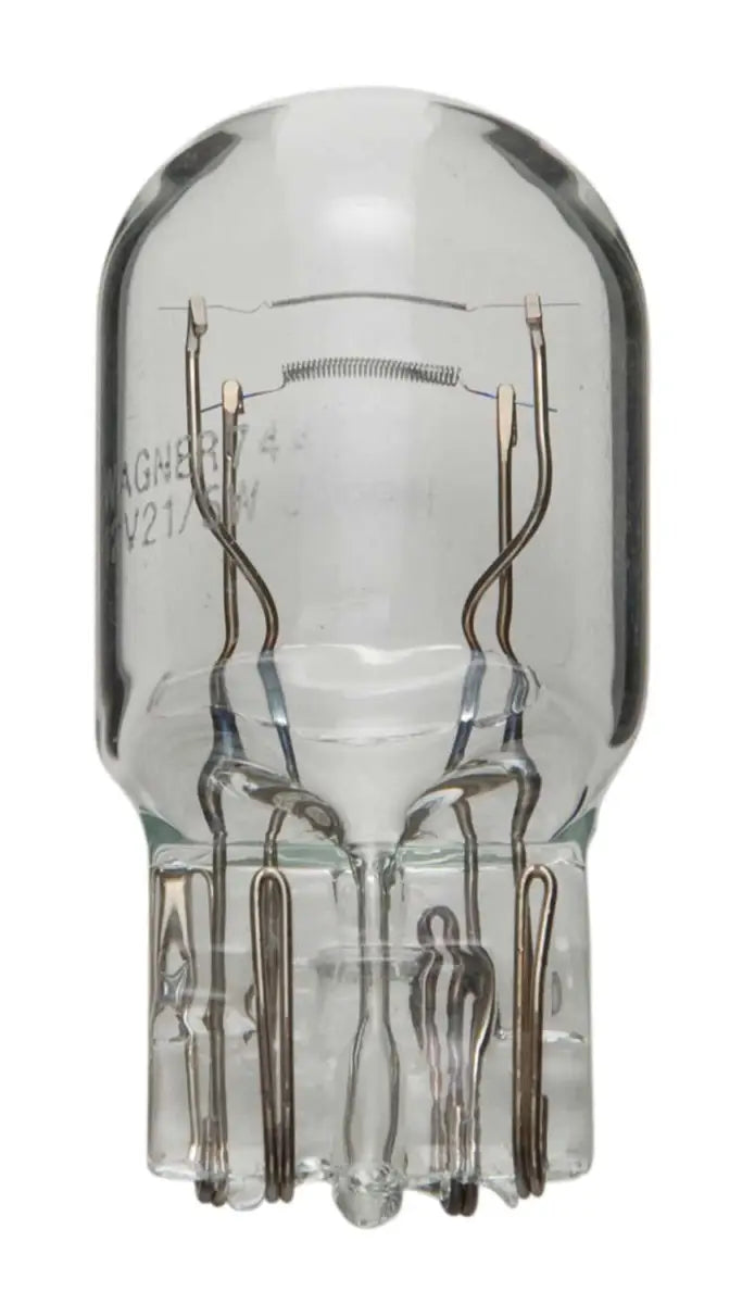 7443 Tail Light Bulb