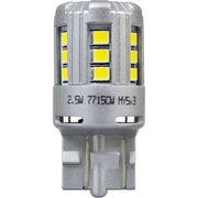 7443SL.BP2 Tail Light Bulb - LED