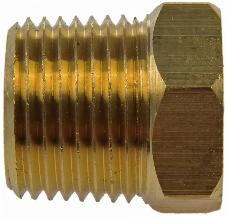 785-424 Fitting Plug/ Fitting Cap by Dorman (OE Solutions)