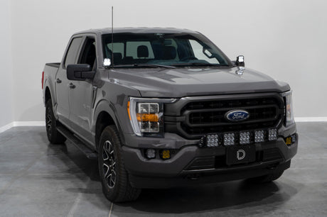 Diode Dynamics 21-22 Ford F-150 SS3 Stage Series Backlit Ditch Light Kit - Pro White Combo - DD7371